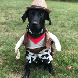 Meet your Posher, Ashlwy